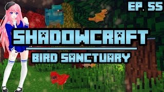 Bird Sanctuary  ShadowCraft  Ep 55 [upl. by Marlea402]