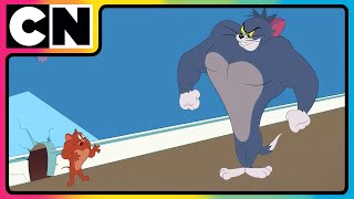 Tom amp Jerry 😺🐭 Just Cat amp Mouse Things  tomandjerry  Funny Cartoons  cnindia [upl. by Etneciv]