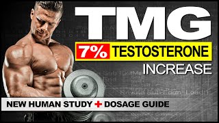 TMG RAISES TESTOSTERONE  Trimethylglycine [upl. by Snave]