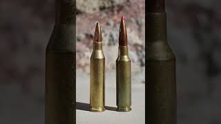 243 Winchester vs 6mm Creedmoor what one do you choose hornady hunting creedmoor coyotes 6mm [upl. by Idonna276]