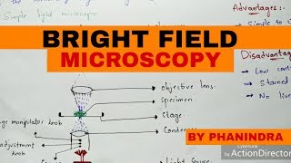 Bright Field Microscopy  Principle  Working  Advantages and disadvantages [upl. by Namqul759]