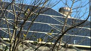 Australian Government Cuts The Solar Rebate Scheme From 44 Cents to 8 Cents pKh [upl. by Orlanta540]