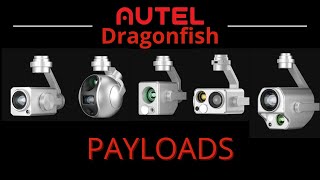 Autel Dragonfish  Payloads [upl. by Milinda780]