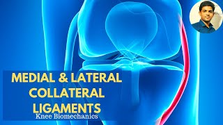 MEDIAL amp LATERAL COLLATERAL LIGAMENTS  Anatomy amp Biomechanics applied [upl. by Leumas]