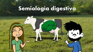 Semiología digestiva en rumiantes [upl. by Jammal]