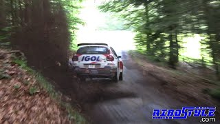 Rallye Vosges Grand EST 2024 By Rigostyle [upl. by Llekcir127]