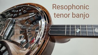 Resophonic tenor banjo Irish tenor banjo GDAE [upl. by Fallon]