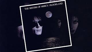 Sisters of Mercy  This Corrosion single version [upl. by Cogn]