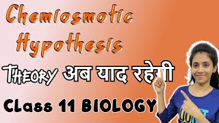 Chemiosmotic hypothesis class 11 biology  chapter 13  photosynthesis  NCERT  One biology [upl. by Hannej]