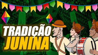 MUSICA DE FESTA JUNINA DE VERDADE Sem Sodomia [upl. by Thapa]