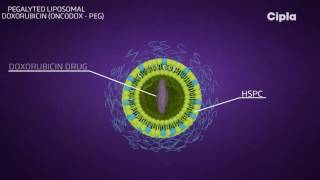 Liposomal technology [upl. by Tayyebeb]