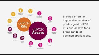 Did You Know that BioRad offers Expert Design Assays to Cover All of Your Assay Needs [upl. by Gaskin]