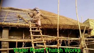 Thatch Roof [upl. by Scopp]