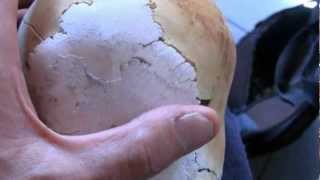 Inside The Elongated Cone Head Skulls Of Paracas Peru [upl. by Worth]