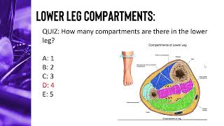 Orthopaedic Surgery  Emergencies [upl. by Ahel]