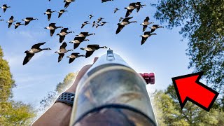 GOOSE HUNTING UP CLOSE AND PERSONAL Shot Cam [upl. by Oiramad]