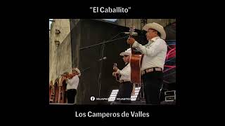 Los Camperos de Valles  El Caballito [upl. by Primavera]