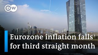 Eurozone inflation drops to 85 percent in January  DW News [upl. by Aplihs]