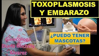 TOXOPLASMOSIS MASCOTAS Y EMBARAZO POR GINECOLOGA DIANA ALVAREZ [upl. by Comptom9]