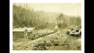 Powelltown Tramway Centenary 19132013 [upl. by Citarella83]