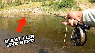 Fly Fishing the TAYLOR RIVER The MOST DIFFICULT River in Colorado 1K Subscriber Giveaway [upl. by Kazimir573]