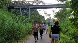 HIKING at bukit timah nature reserve [upl. by Pierrepont679]