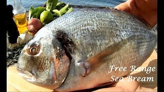 BEST Sea Salt Crusted Free Range SEA BREAM  Cooking on the Beach [upl. by Spillihp]