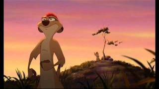 Timon encouraged  malayalam versionmp4 [upl. by Wilburt425]