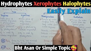 Osmotic Adjustment In Plants  Hydrophytes Xerophytes amp Halophytes  Class 10 Biology [upl. by Salta]