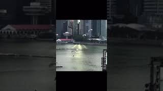 Singapore National Day Naval Divers Skydiving into Water [upl. by Amein]