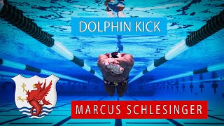 Underwater Dolphin Kick Technique with Olympic Swimmer Marcus Schlesinger [upl. by Silden]