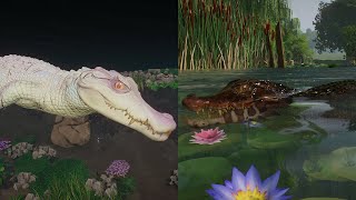 PLANET ZOO Cuviers Dwarf Caiman in Kuala Bintu Taman 4k [upl. by Nairam]