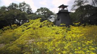 群馬県沼田城跡（沼田公園） [upl. by Dnalrah825]