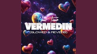 Vermedin Slowed amp Reverb [upl. by Finegan456]