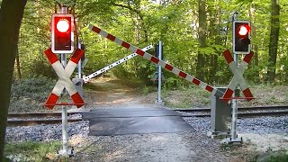 Spoorwegovergang Bad Bentheim D  Railroad crossing  Bahnübergang [upl. by Yelich]