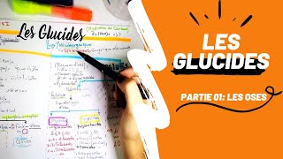 📣 Biochimie 1 Révision DES GLUCIDES PARTIE 01  Les Oses en détails👌 biologyUSTHBBIOCHIMIE [upl. by Madson304]