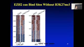 2019 STAT115 Lect234 CRISPR Screen and Epigenetic Regulators of Cancer Drug Response [upl. by Adamo]