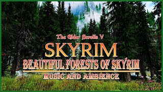 Beautiful Forests of Skyrim  Nature Vibes  Music and Ambience [upl. by Genevra]