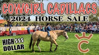 THE BOUJEEST HORSE SALE IN WICKENBURG ARIZONA [upl. by Aivyls413]