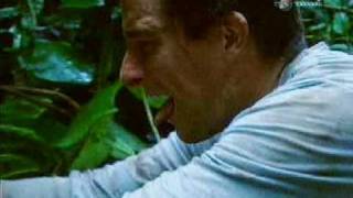 Bear Grylls Eats some worms  Ultimate survival [upl. by Jamille]