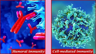 Humoral immunity and Cell mediated immunity [upl. by Stubbs]