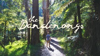 Hiking the Dandenong Ranges National Park  Melbourne Australia [upl. by Latsyrcal]