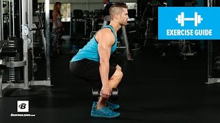 How to Dumbbell Squat  Mike Hildebrandt [upl. by Gnut]