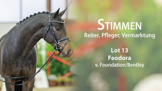 WinterAuktion Stimmen des Teams Lot 13 Feodora Stute v Foundation  Bentley [upl. by Moclam]