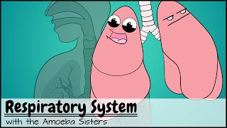 Respiratory System [upl. by Crofton]