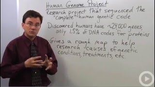 Human Genome Project [upl. by Lerad]