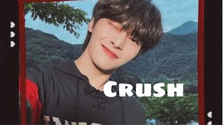 IMAGINE skz IN having a crush on you Felix as you brother [upl. by Eibot332]