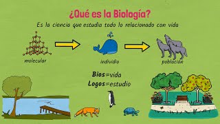 ¿Qué es la Biología [upl. by Landahl803]