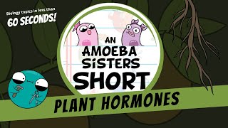 Plant Hormones  Amoeba Sisters Shorts [upl. by Downs]