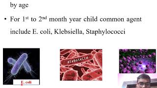 Pneumonia in children Lobarpneumonia Bronchopneumonia Interstitialpneumonia Viralpneumonia [upl. by Carlock]